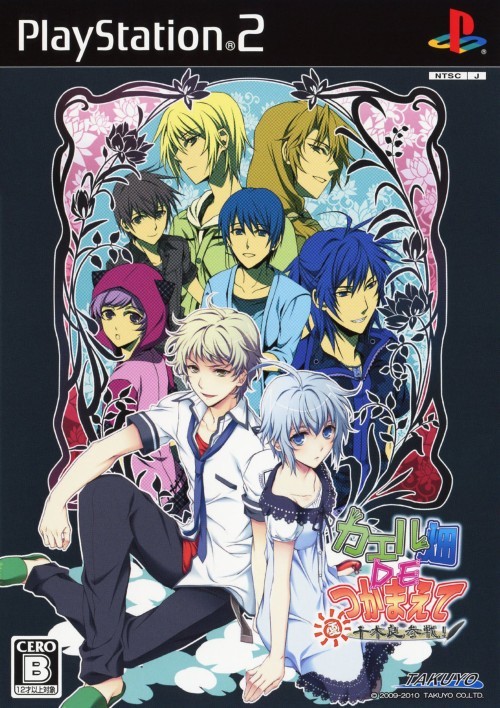 Kaeru Batake de Tsukamaete: Natsu Chigira Sansen (PlayStation 2)