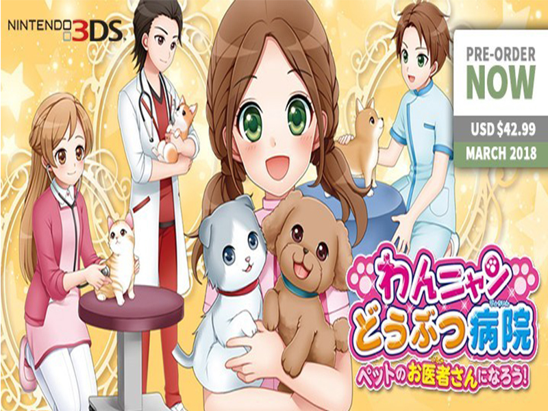 Wan Nyan Doubutsu Byouin Pet no Oisha-san ni Narou! (Nintendo 3DS)